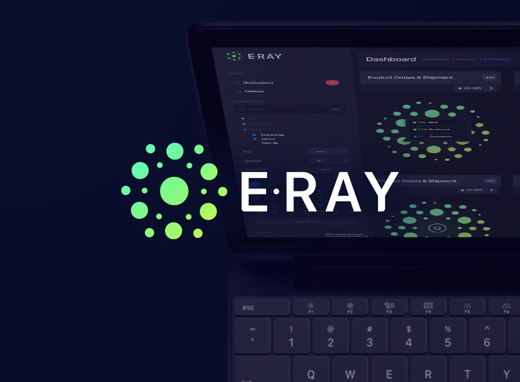 e-Ray